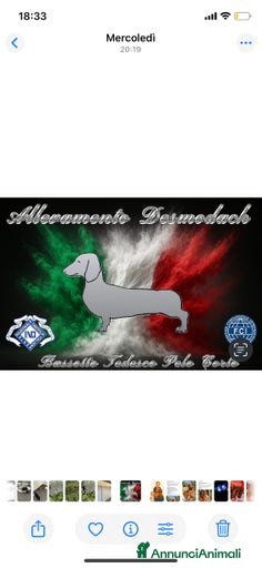 Immagine della galleria {{count}}