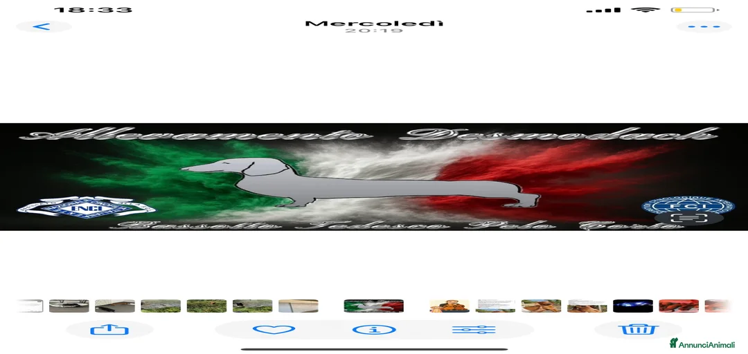 Immagine della galleria {{count}}