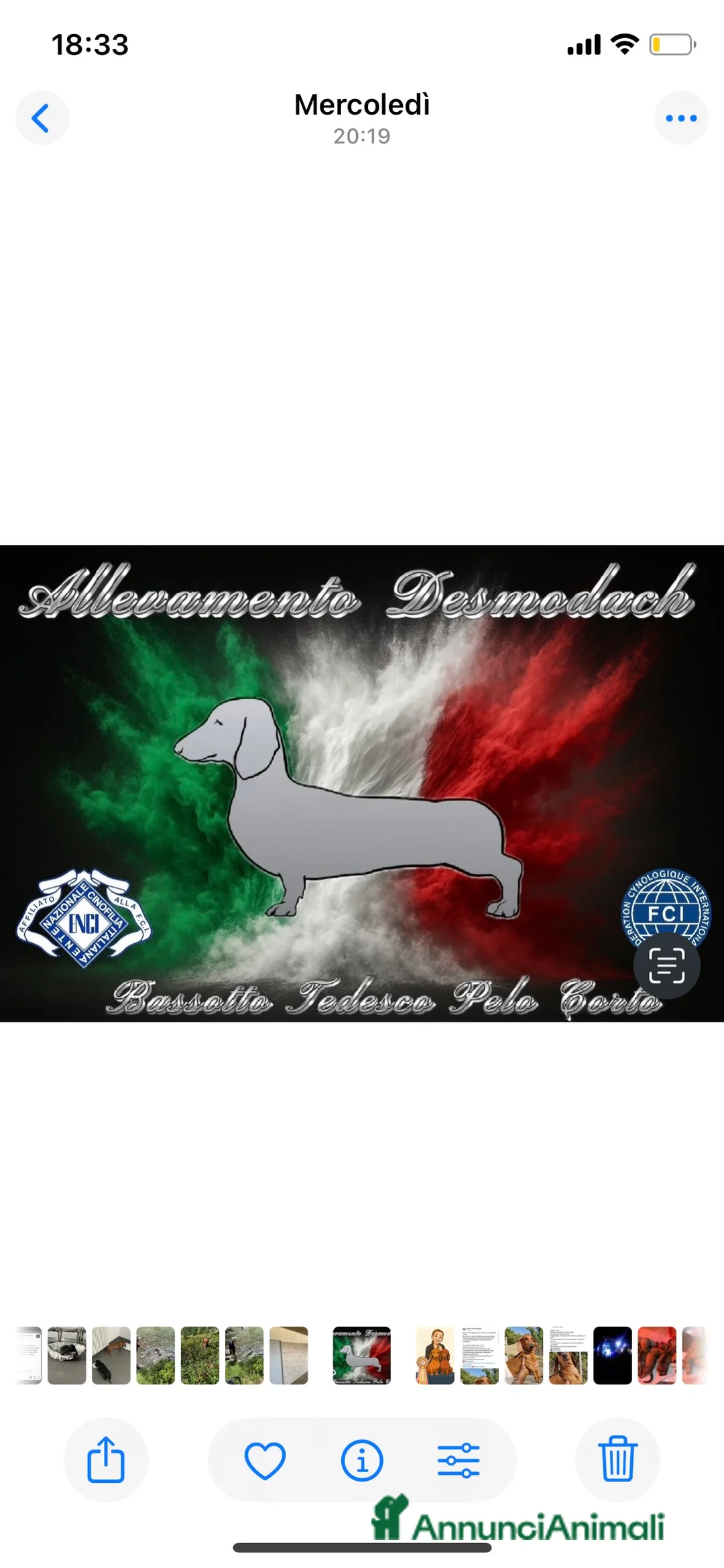 Immagine della galleria {{count}}