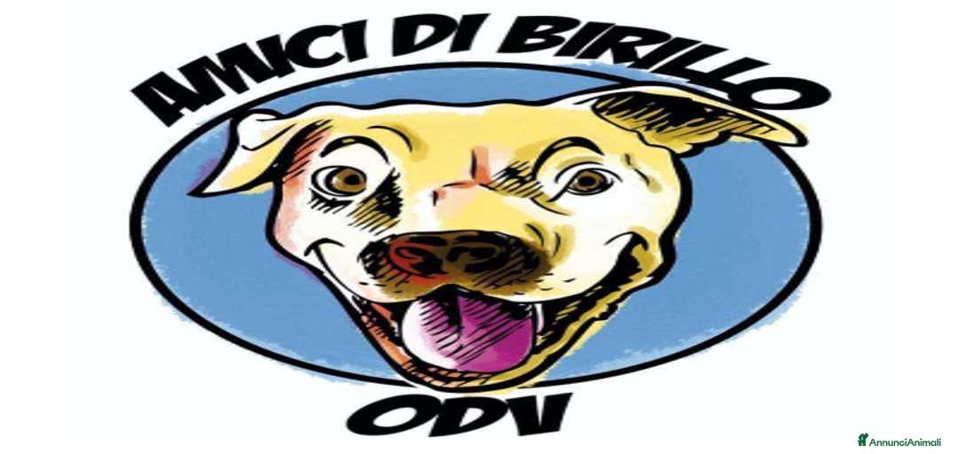 Immagine della galleria {{count}}