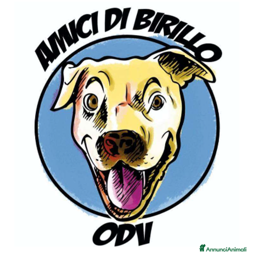 Immagine della galleria {{count}}