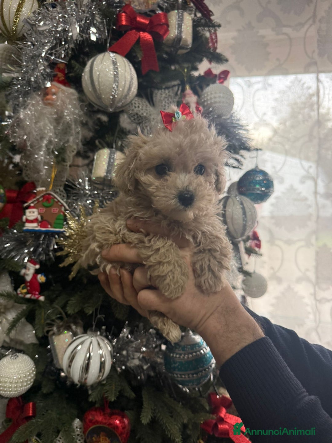 Immagine della galleria {{count}}