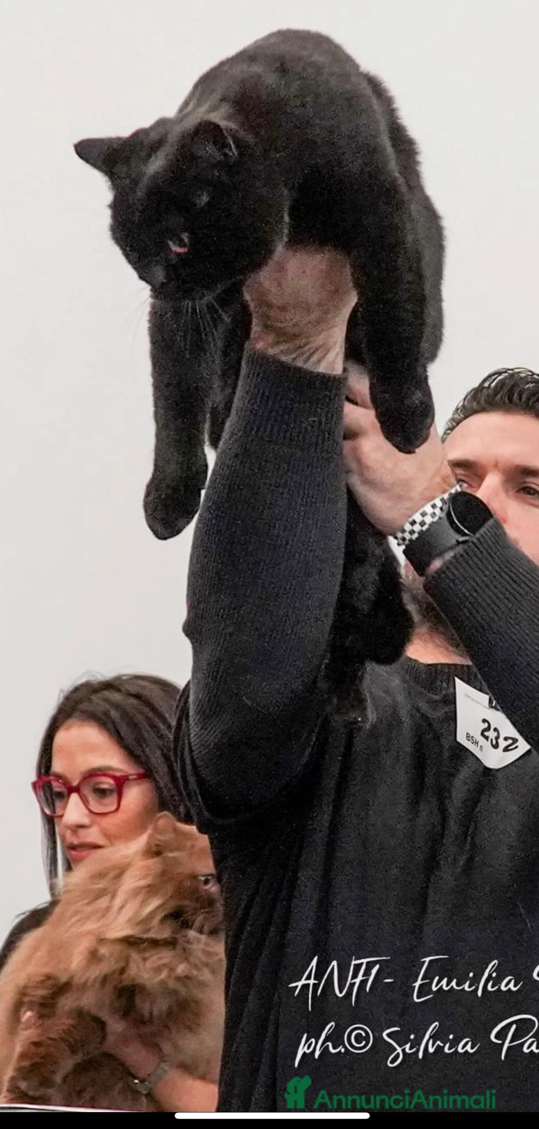 Immagine della galleria {{count}}