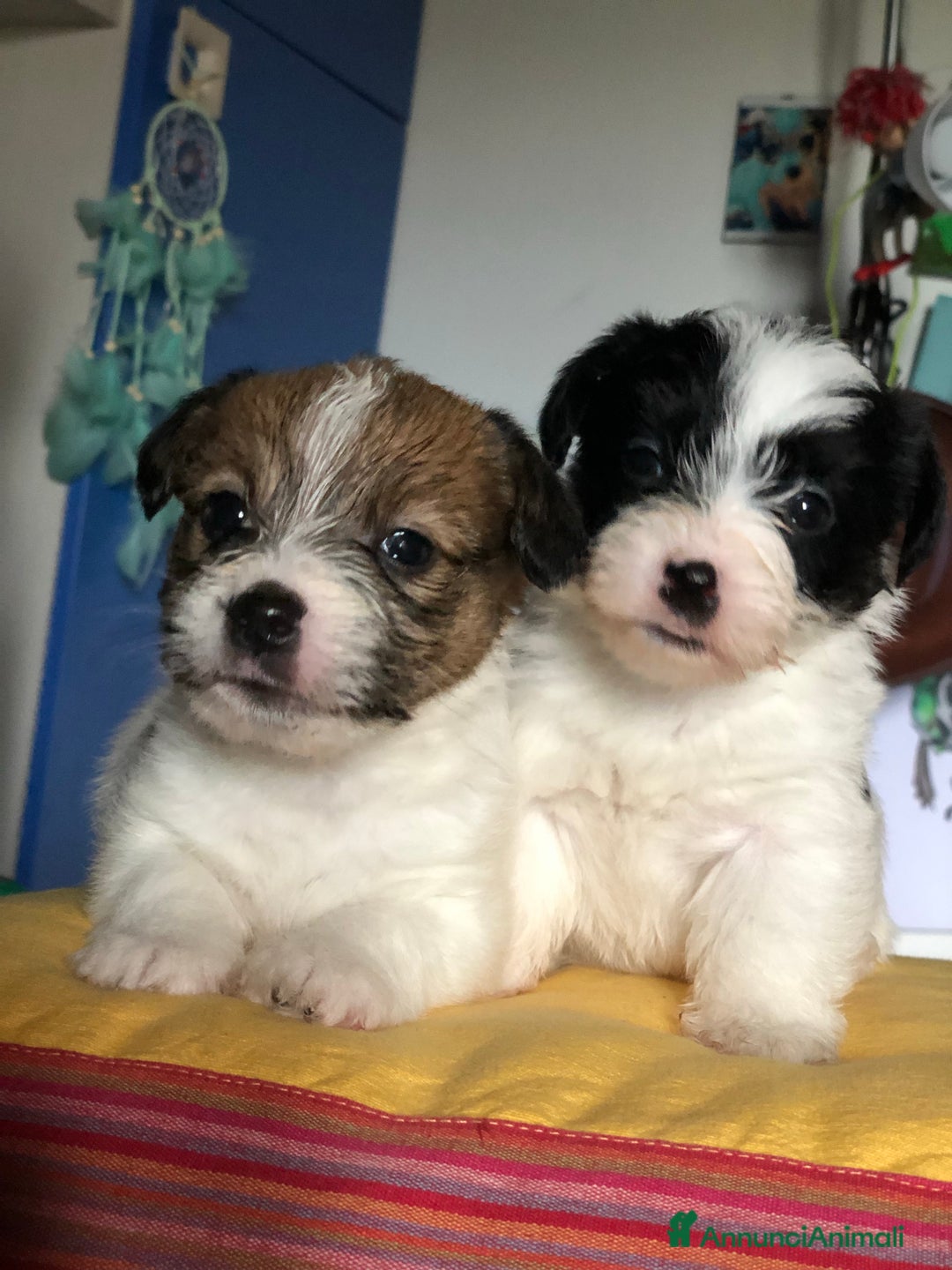 Immagine della galleria {{count}}