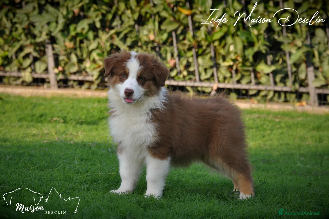 Immagine della galleria {{count}}