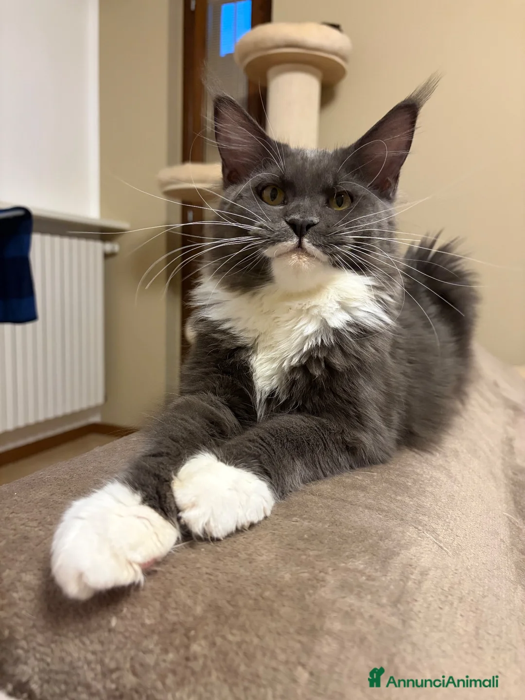 Immagine della galleria {{count}}