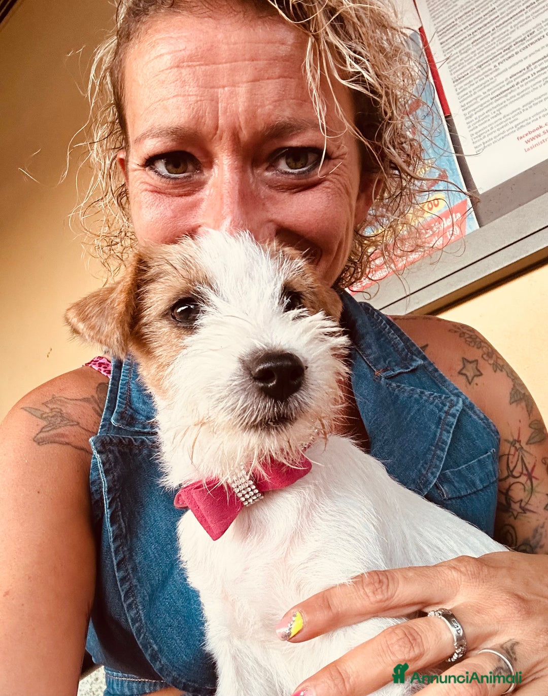 Immagine della galleria {{count}}