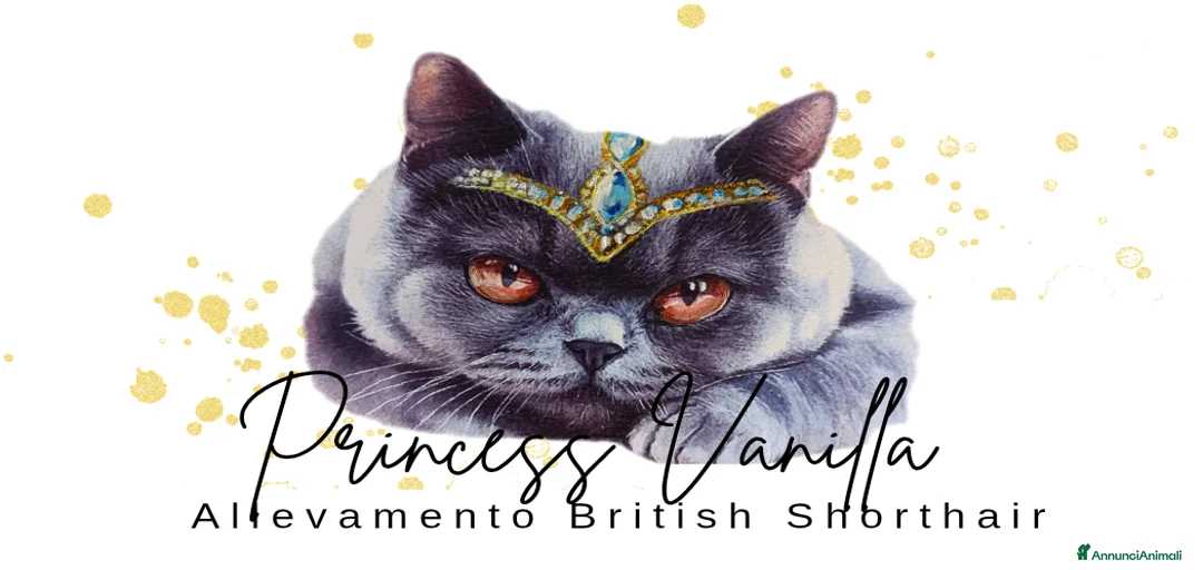 Immagine della galleria {{count}}