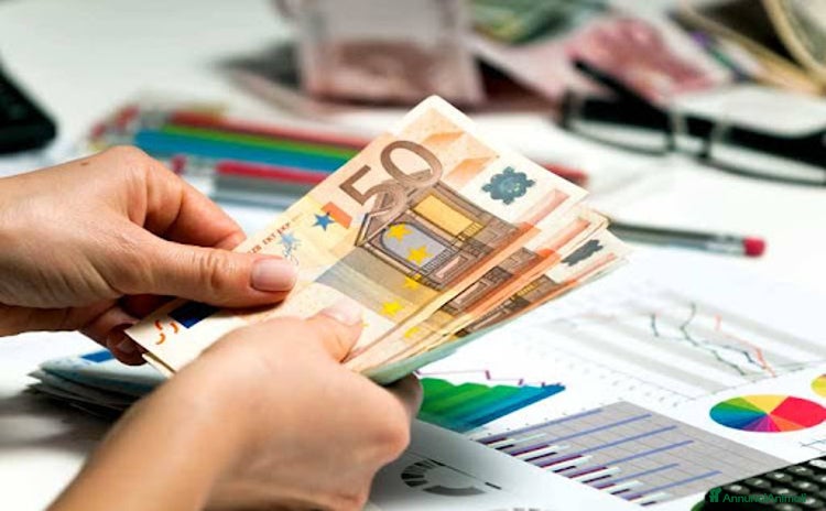 Europeo gatti a Città Metropolitana di Torino - Annuncio 1