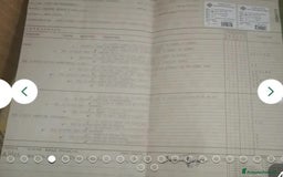 Pastore Tedesco cani in regalo:  proprietario regala splendidi cuccioli  - Annuncio 3