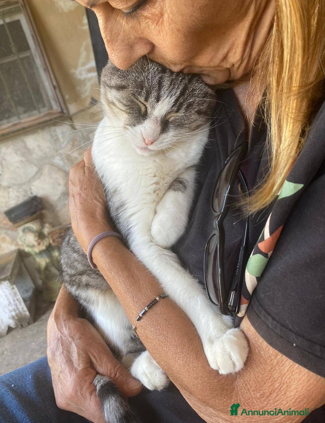 Europeo gatti in regalo: LICIA, dolce gatta in adozione! - Annuncio 3