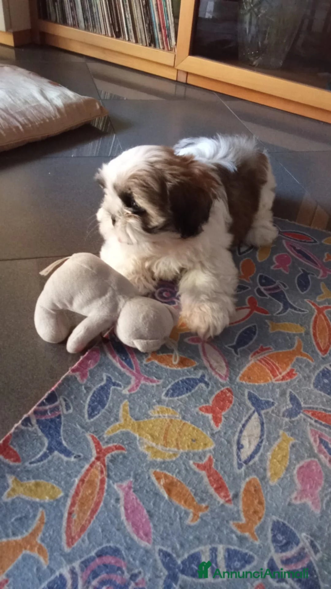 Immagine della galleria {{count}}