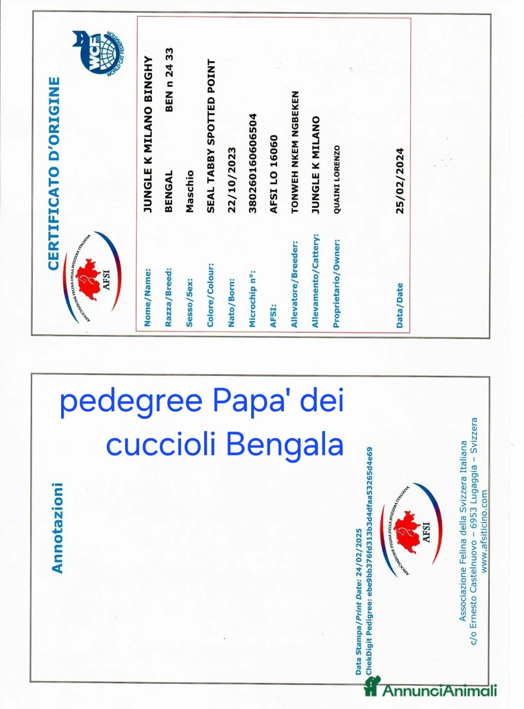 Bengala gatti in vendita: Cuccioli di Bengala vendita - Annuncio 2