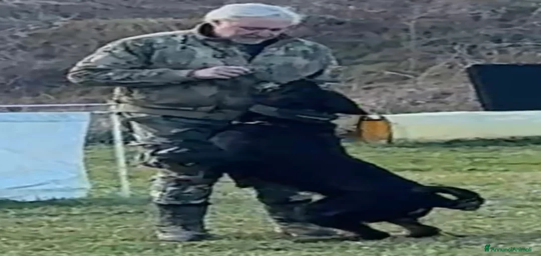 Immagine della galleria {{count}}