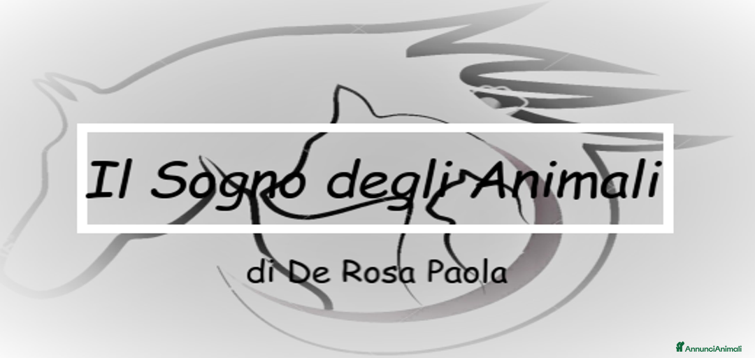 Immagine della galleria {{count}}