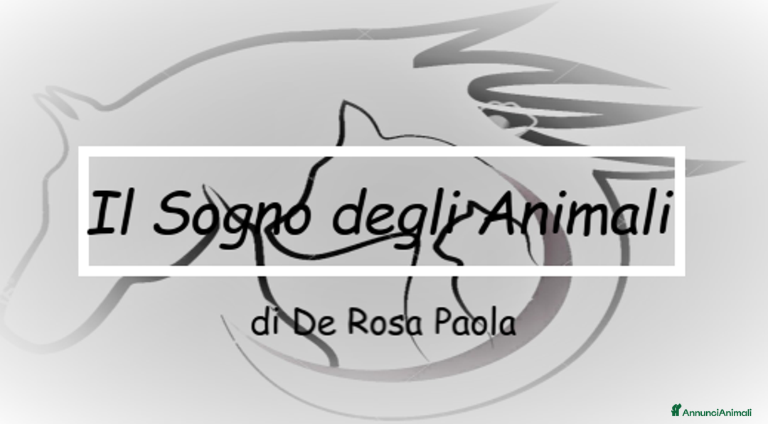 Immagine della galleria {{count}}