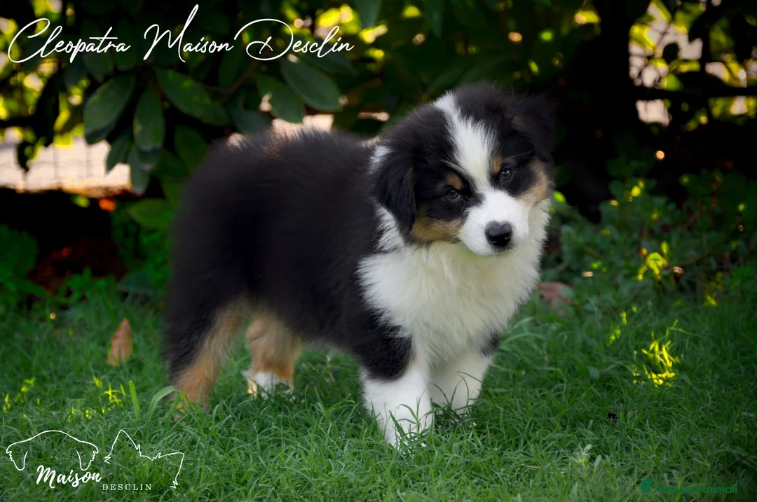 Immagine della galleria {{count}}