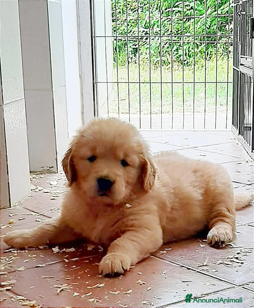 Immagine della galleria {{count}}