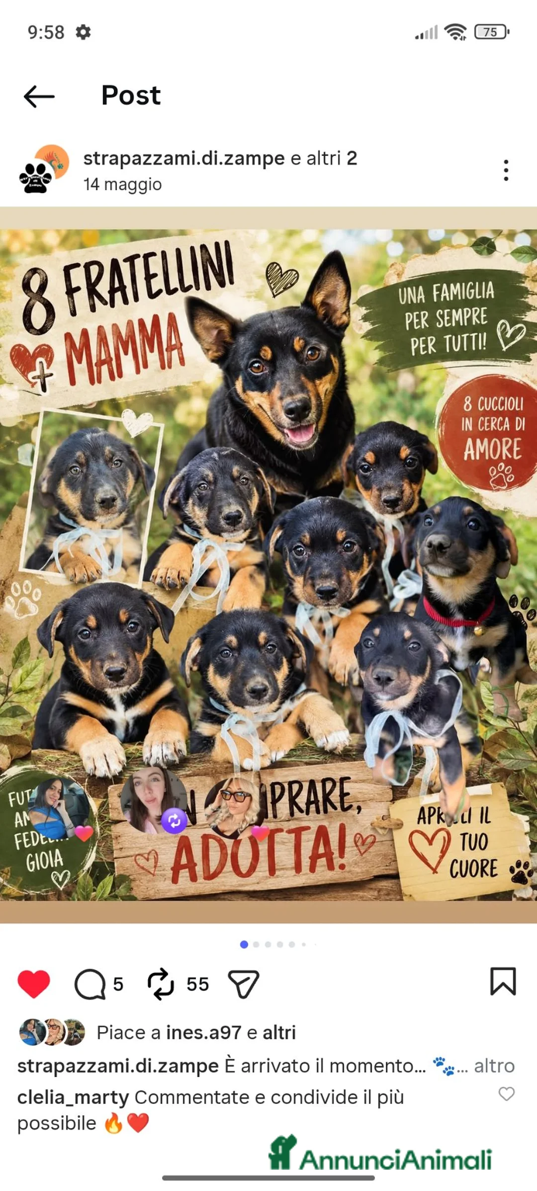 Meticcio cani in regalo: Cuccioli amorevoli che cercano casa - Annuncio 1