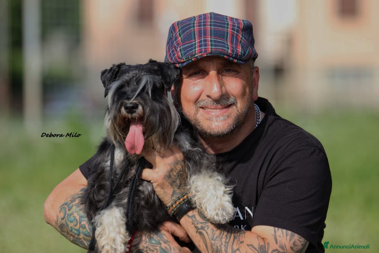 Immagine della galleria {{count}}