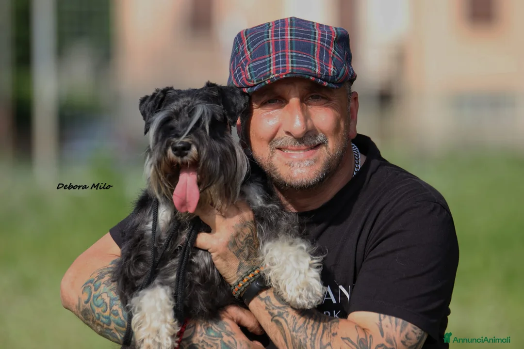 Immagine della galleria {{count}}