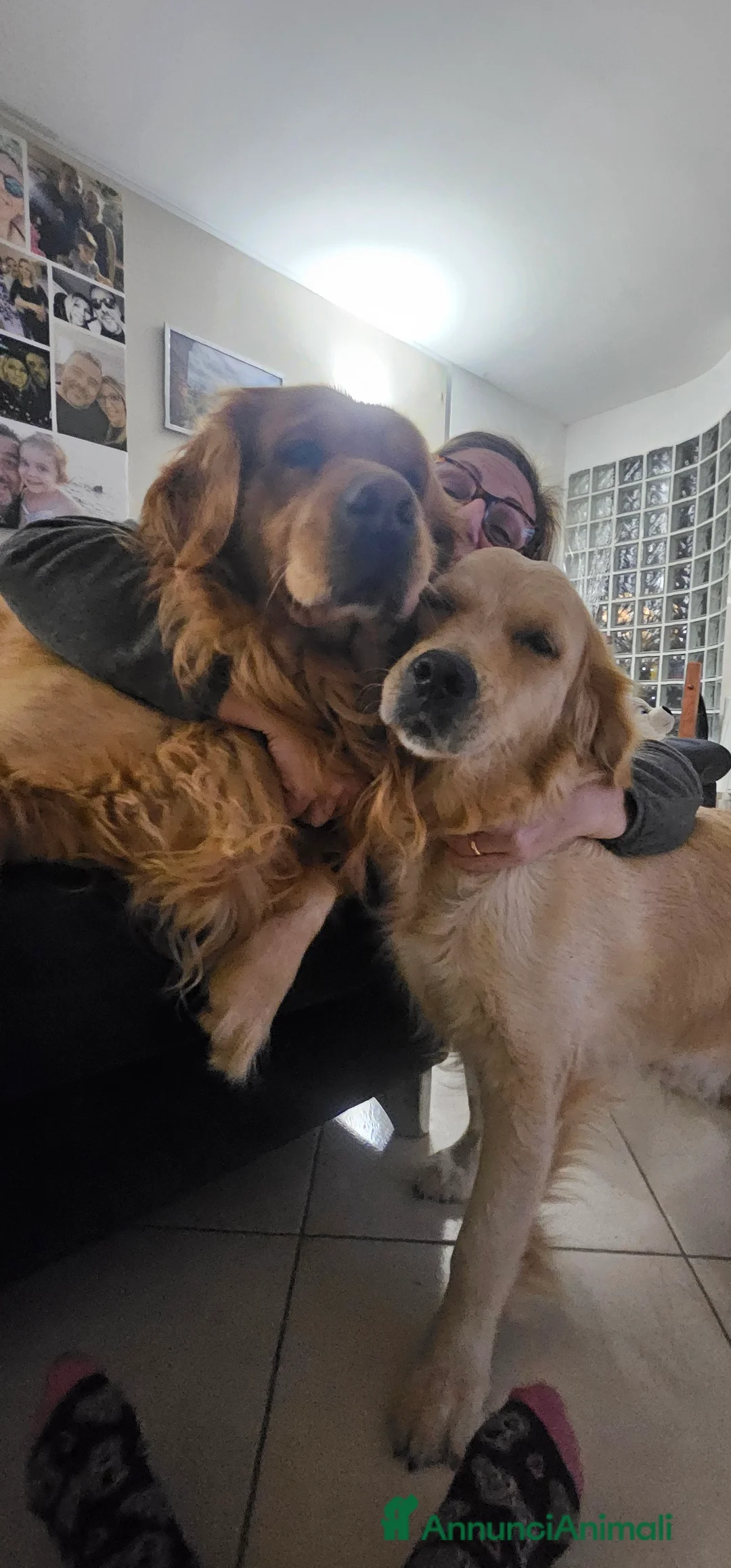 Immagine della galleria {{count}}