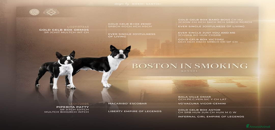 Immagine della galleria {{count}}