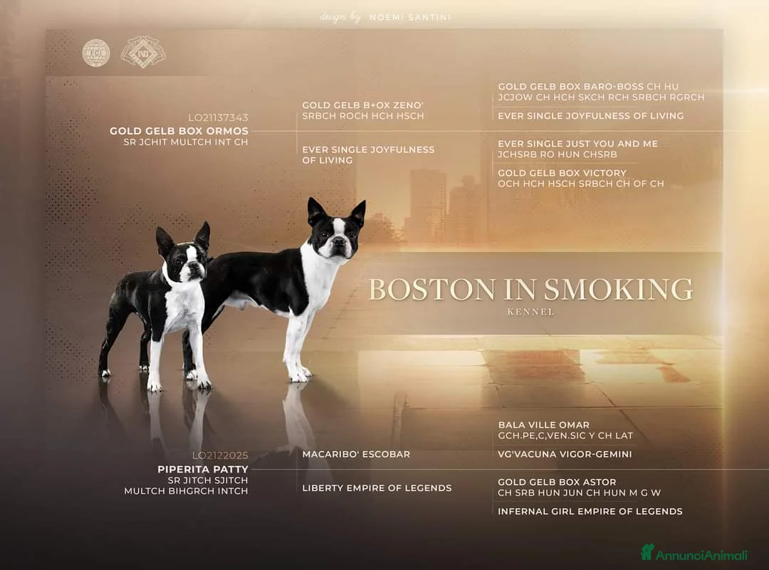 Immagine della galleria {{count}}