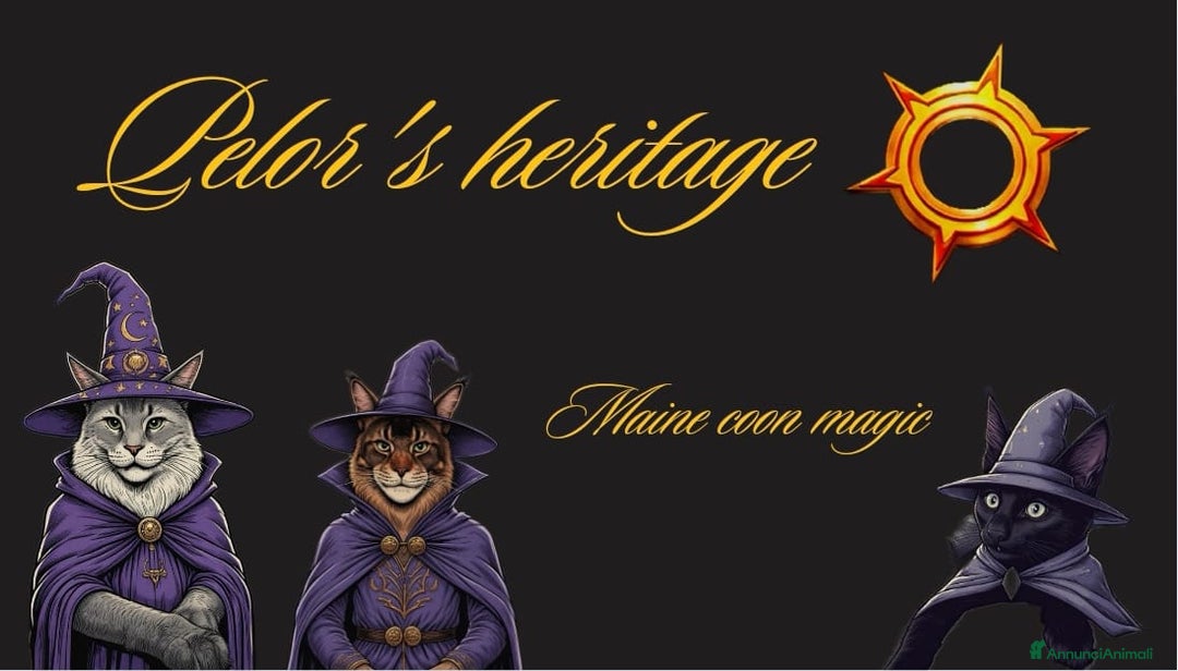 Immagine della galleria {{count}}