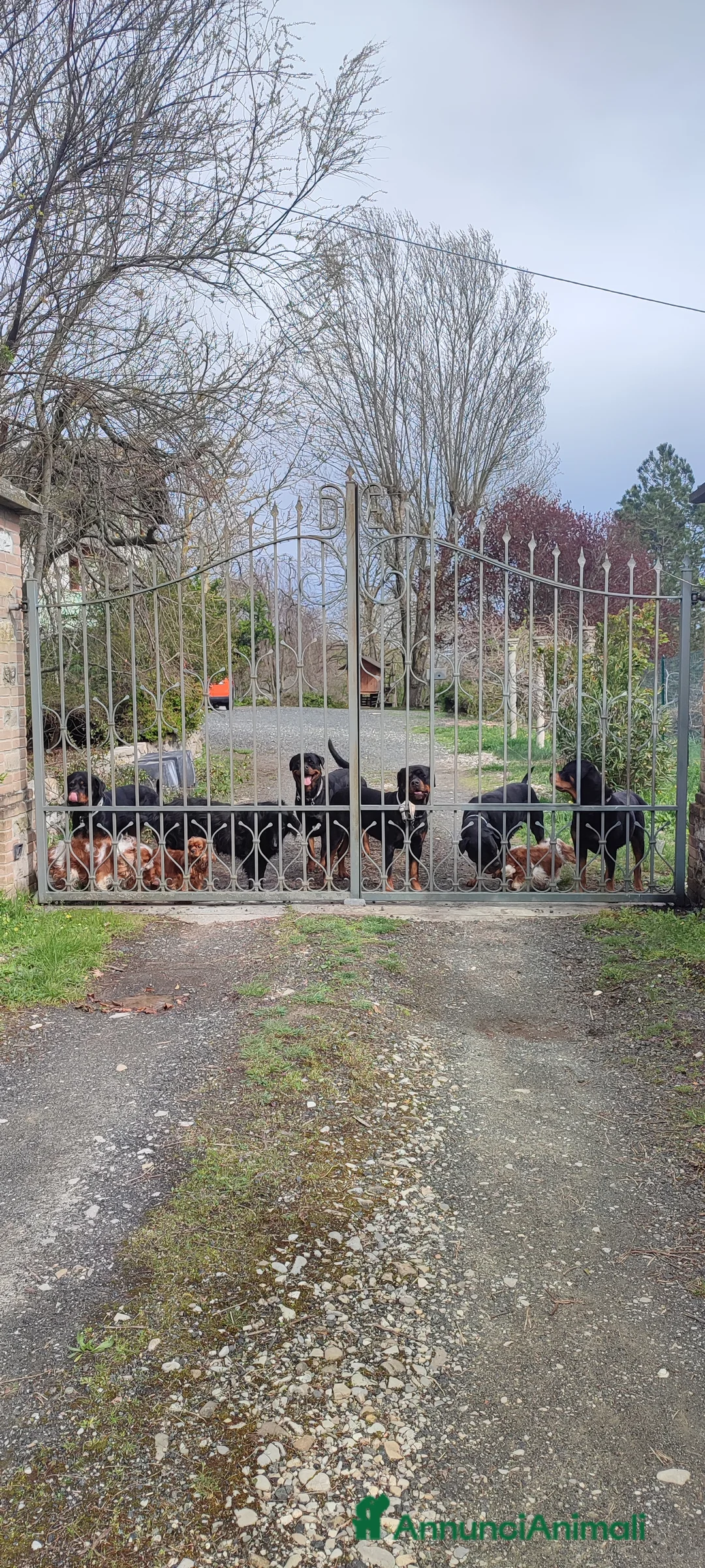 Immagine della galleria {{count}}