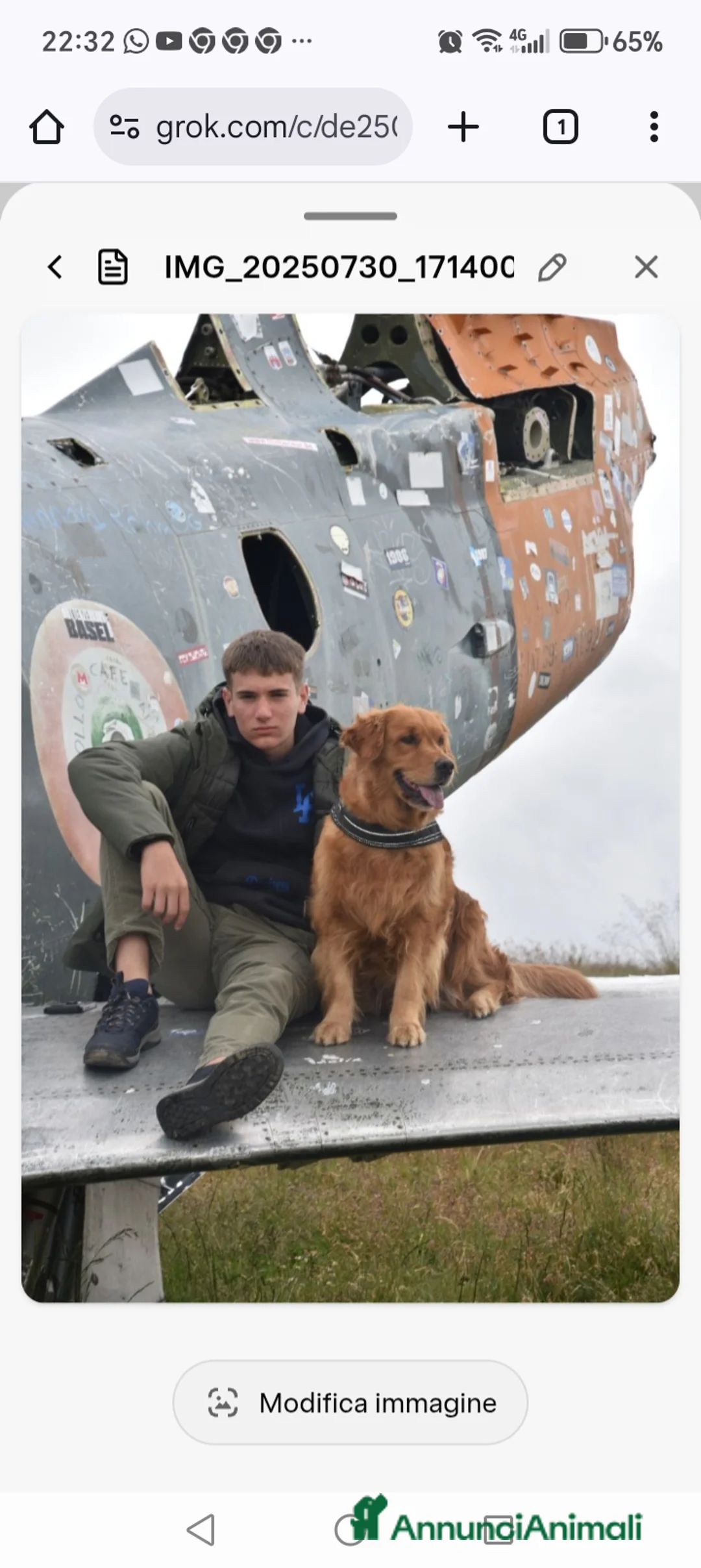 Golden Retriever cani in vendita: Disponibili 2 cucciole golden Retriever - Annuncio 6