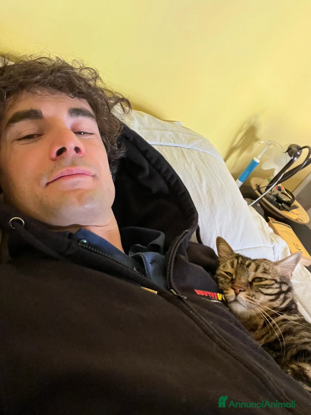 Immagine della galleria {{count}}