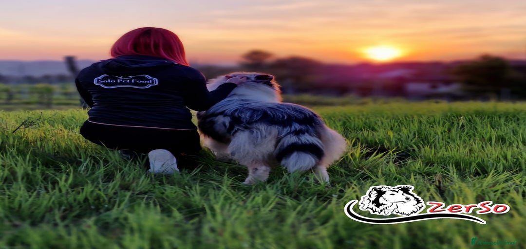 Immagine della galleria {{count}}