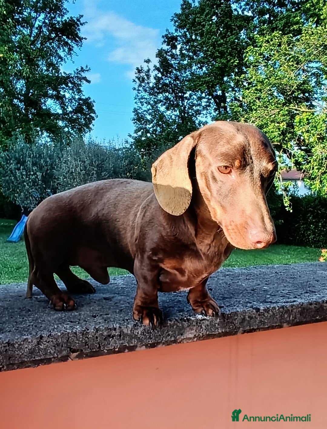 Immagine della galleria {{count}}