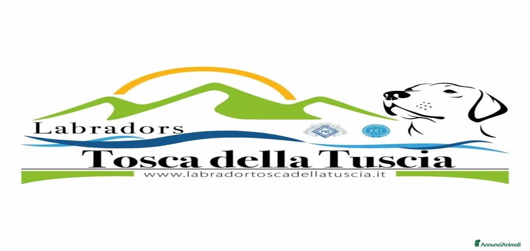 Immagine della galleria {{count}}