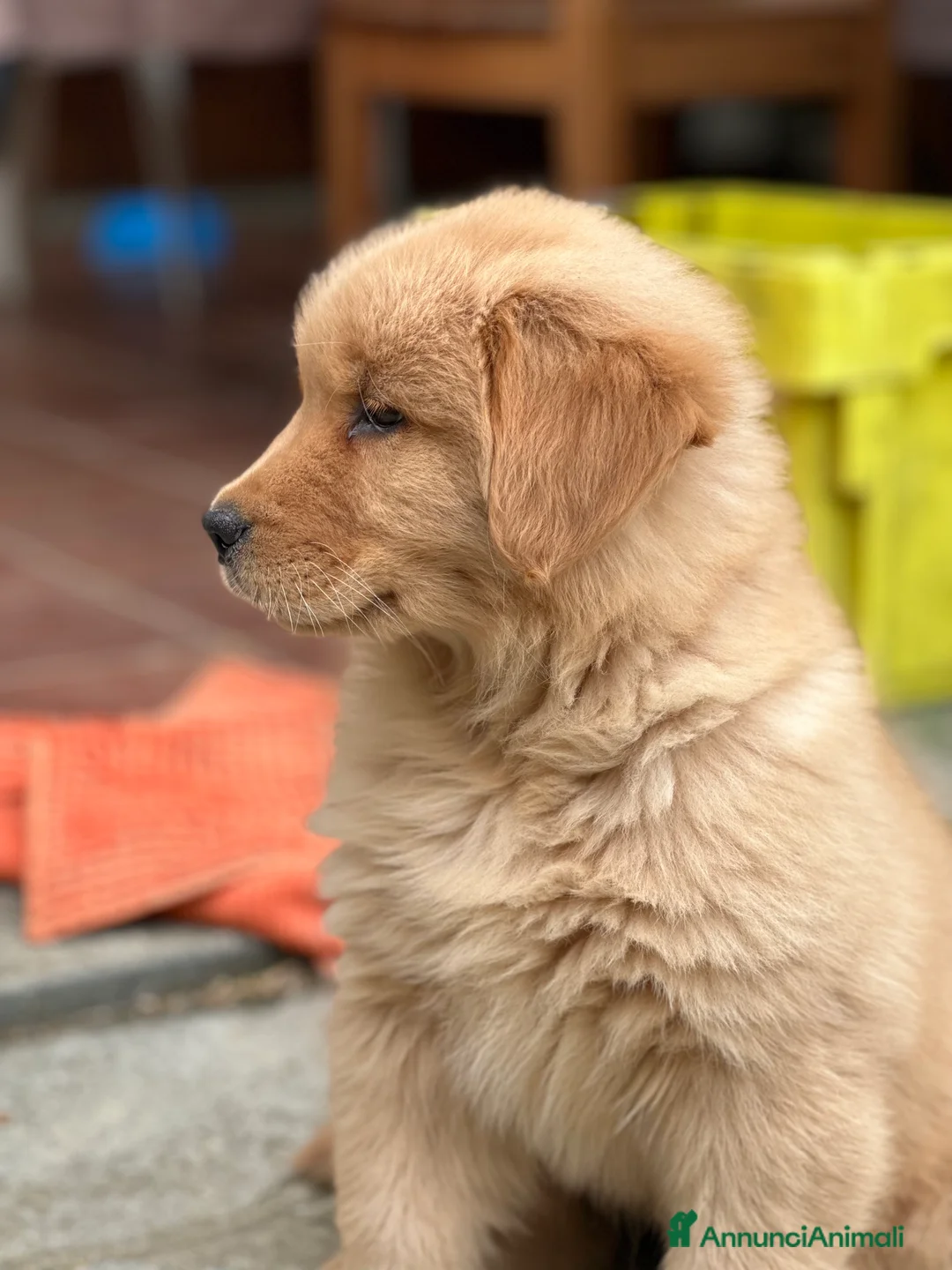 Immagine della galleria {{count}}