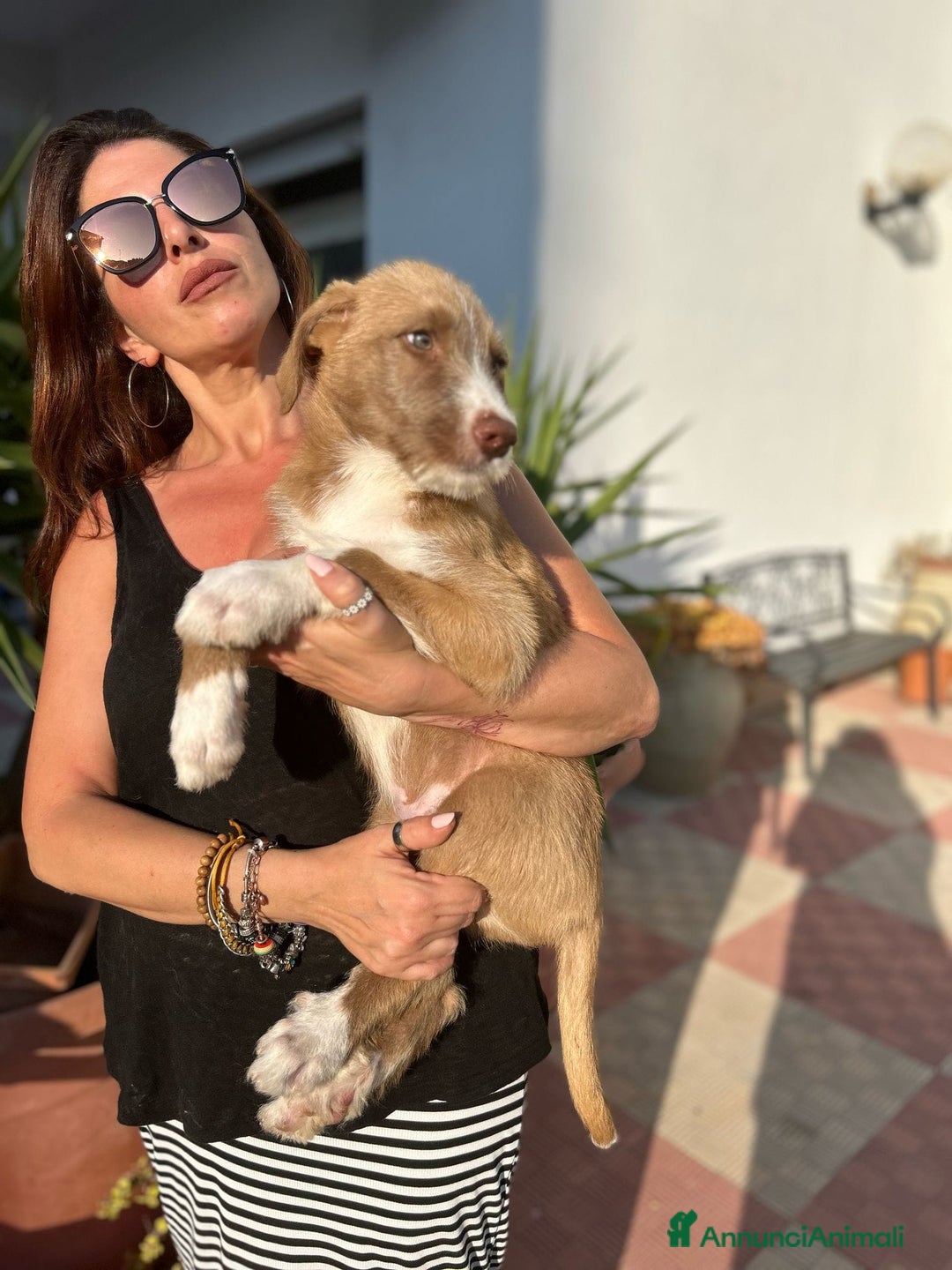 Meticcio cani in regalo: Stefano, Nicola & Giacomo, 3 mesi a Provincia di Bergamo - Immagine 18