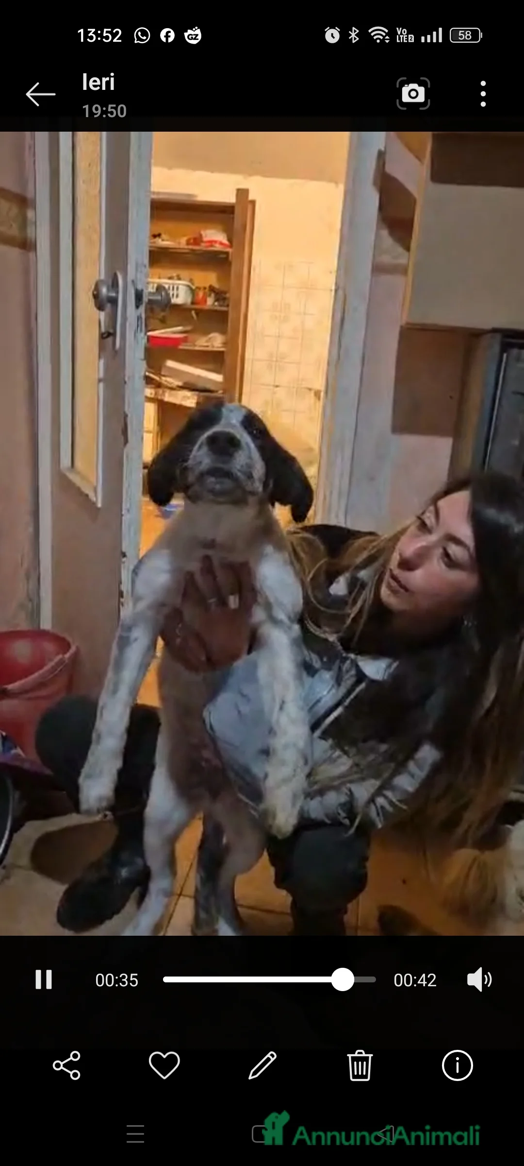 Meticcio cani in regalo: Claretta  - Annuncio 1