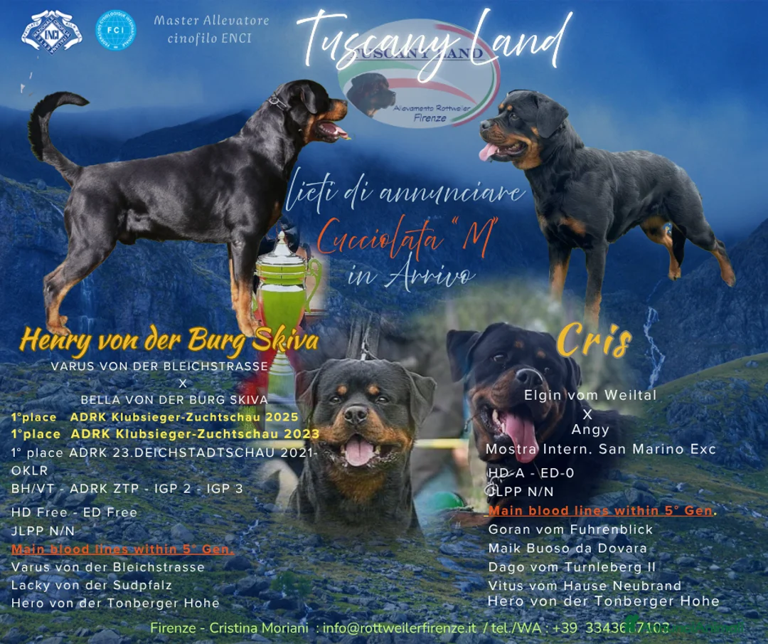 Immagine della galleria {{count}}