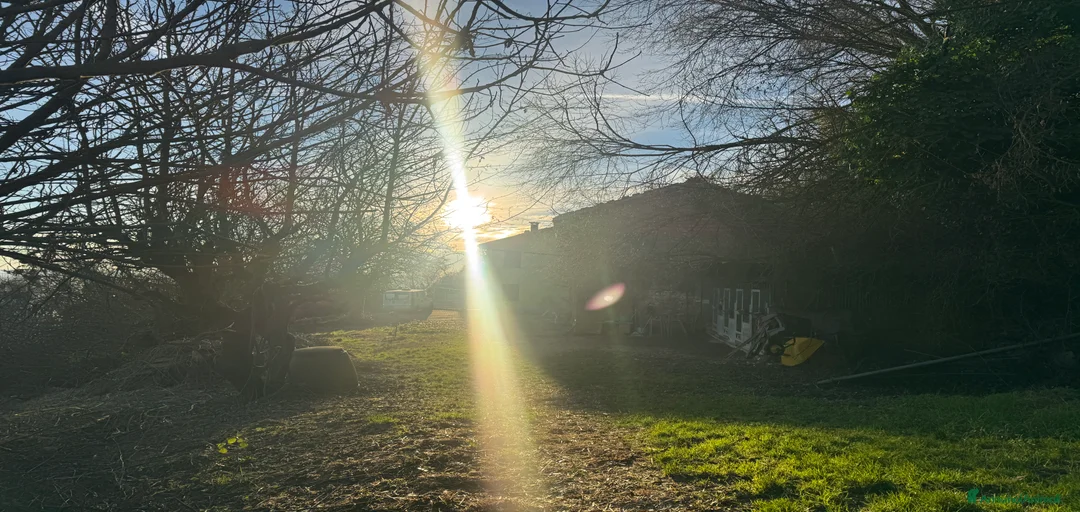 Immagine della galleria {{count}}