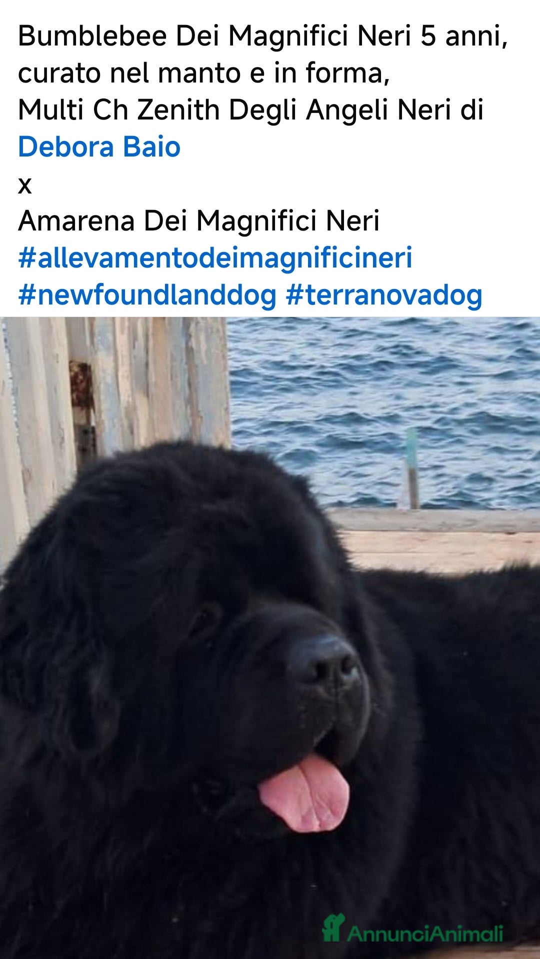 Immagine della galleria {{count}}