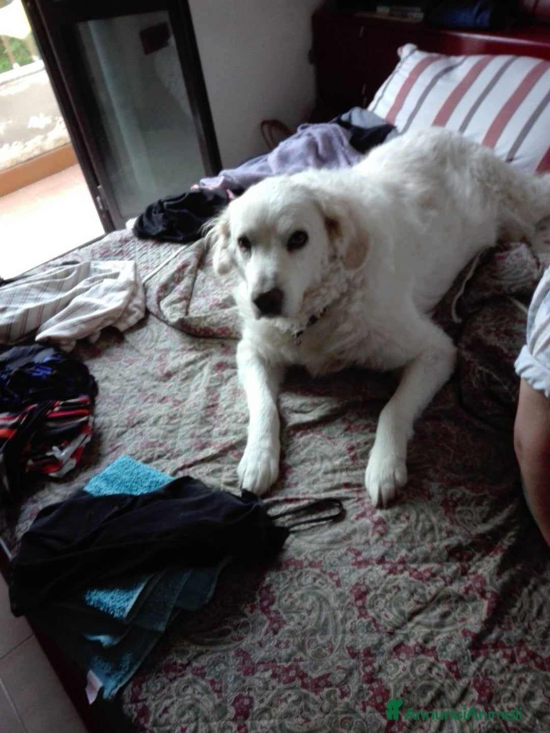 Immagine della galleria {{count}}