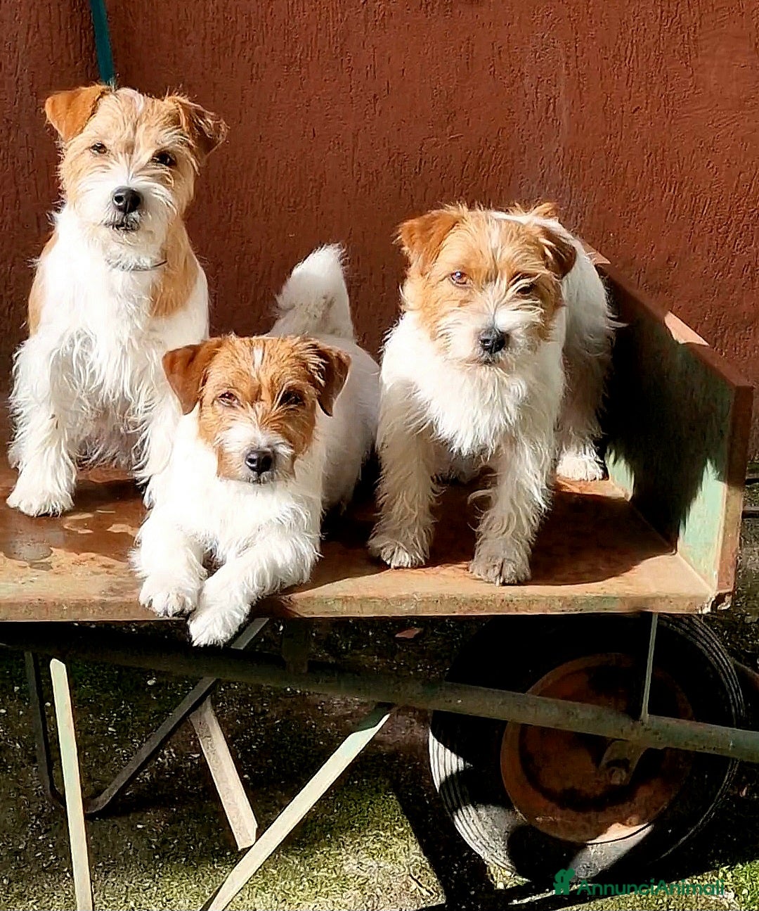 Immagine della galleria {{count}}