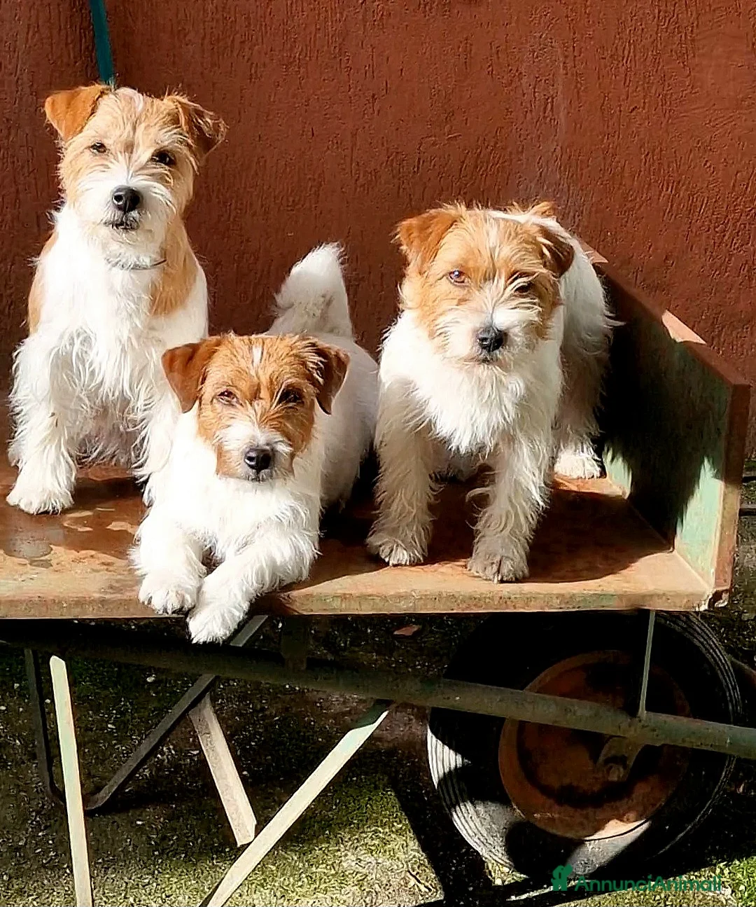 Immagine della galleria {{count}}