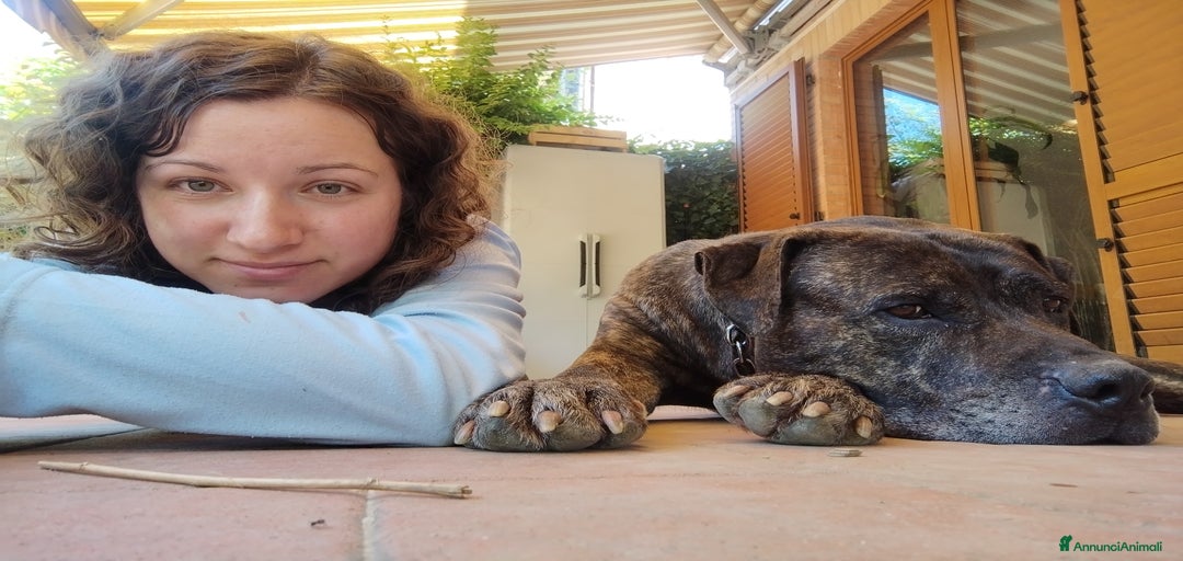 Immagine della galleria {{count}}