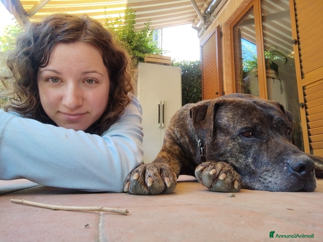 Immagine della galleria {{count}}