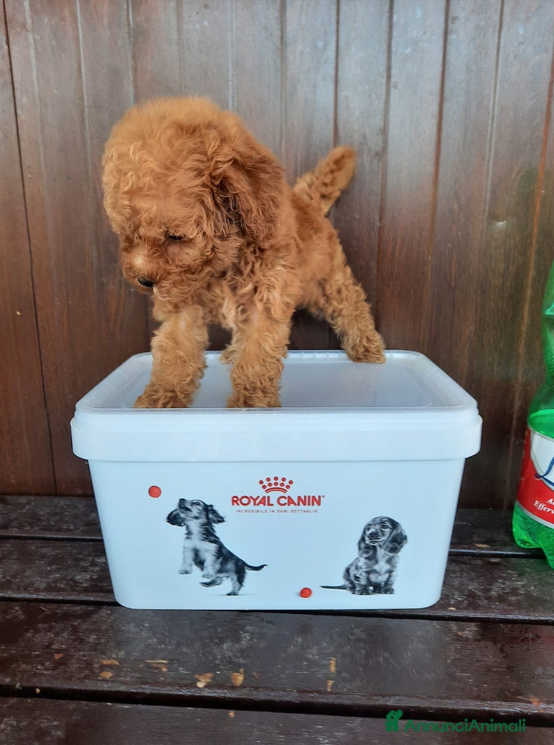 Immagine della galleria {{count}}