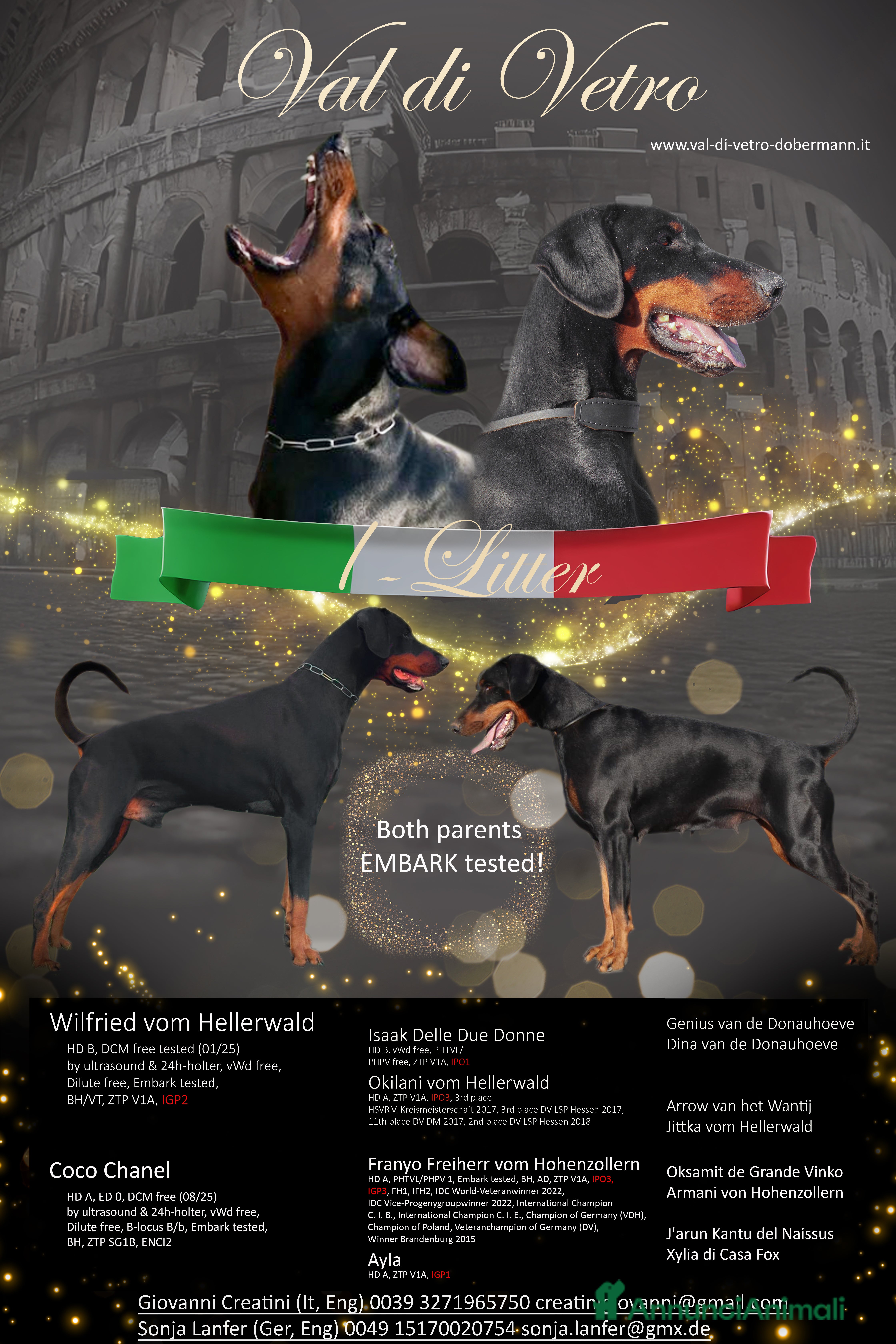 Dobermann cani Cuccioli di Dobermann in Toscana - Annuncio 2