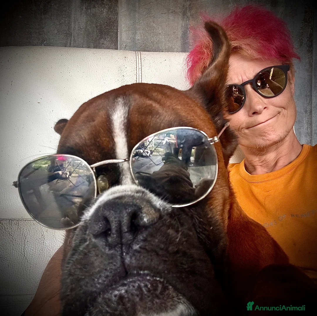 Immagine della galleria {{count}}