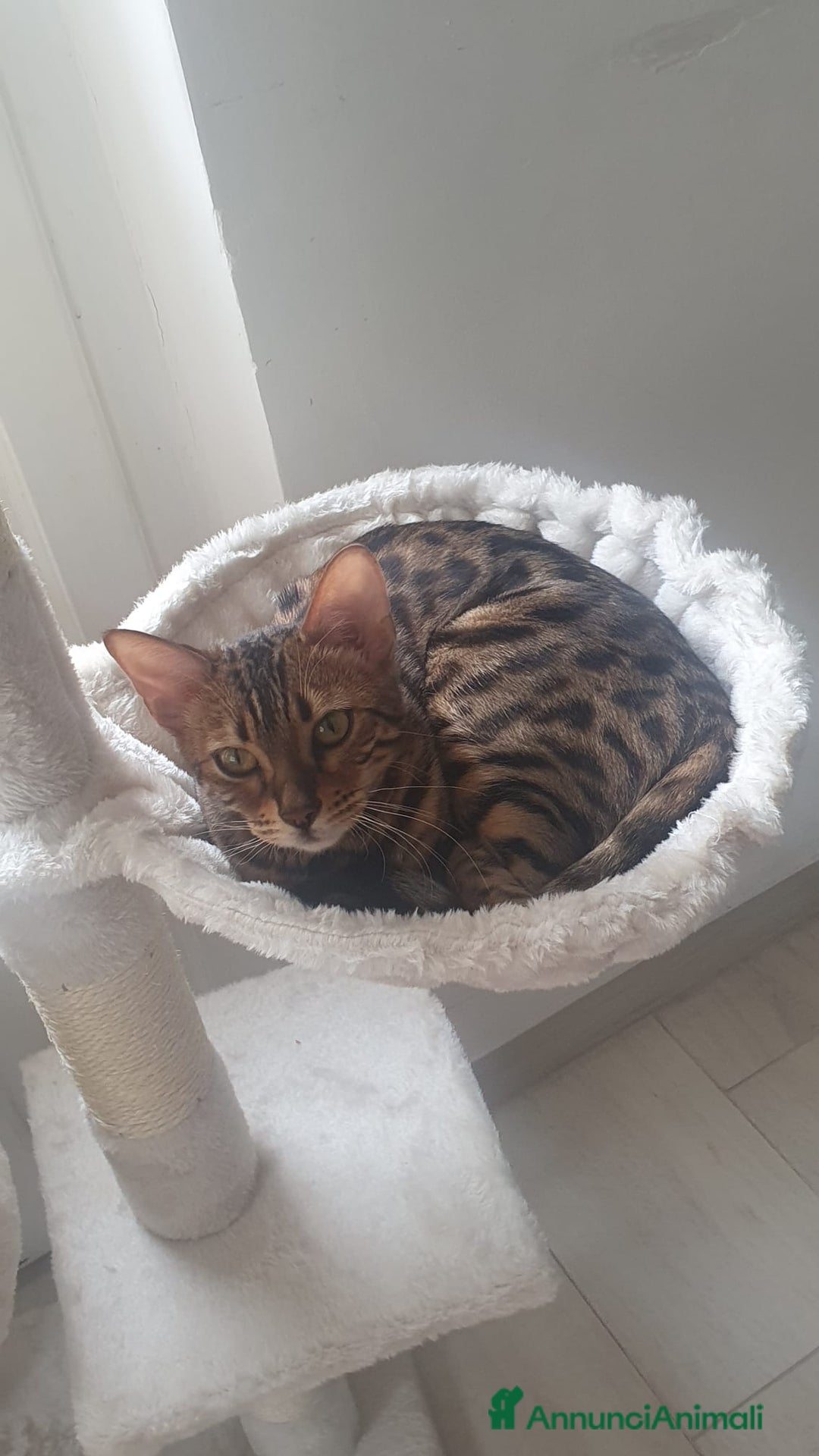 Immagine della galleria {{count}}